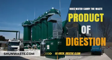 How Water Transports Digestion Waste: Understanding Its Role in Elimination