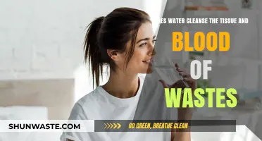 Water's Role in Detoxifying Tissues and Blood: Fact or Fiction?