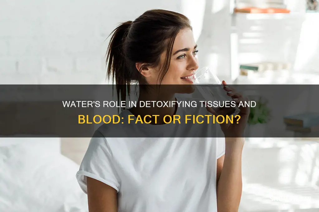does water cleanse the tissue and blood of wastes