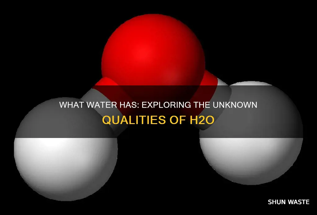 does water have