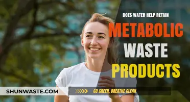 Water's Role in Managing and Eliminating Metabolic Waste Products