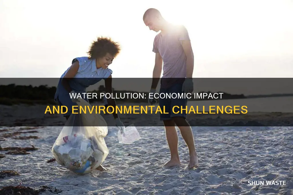 does water pollution affect economy