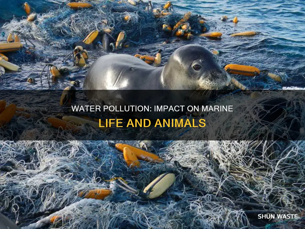 does water pollution affect marine animals