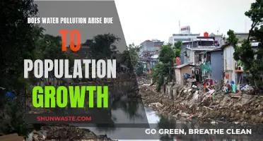 Population Boom: Unraveling the Water Pollution Conundrum