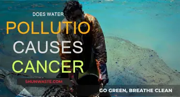 Water Pollution and Cancer: Uncovering the Hidden Link