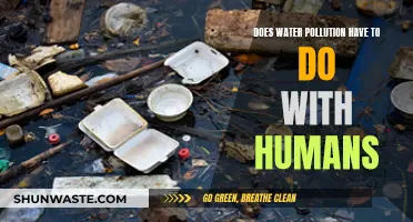 Human Impact: Unveiling Water Pollution's Role in Environmental Degradation