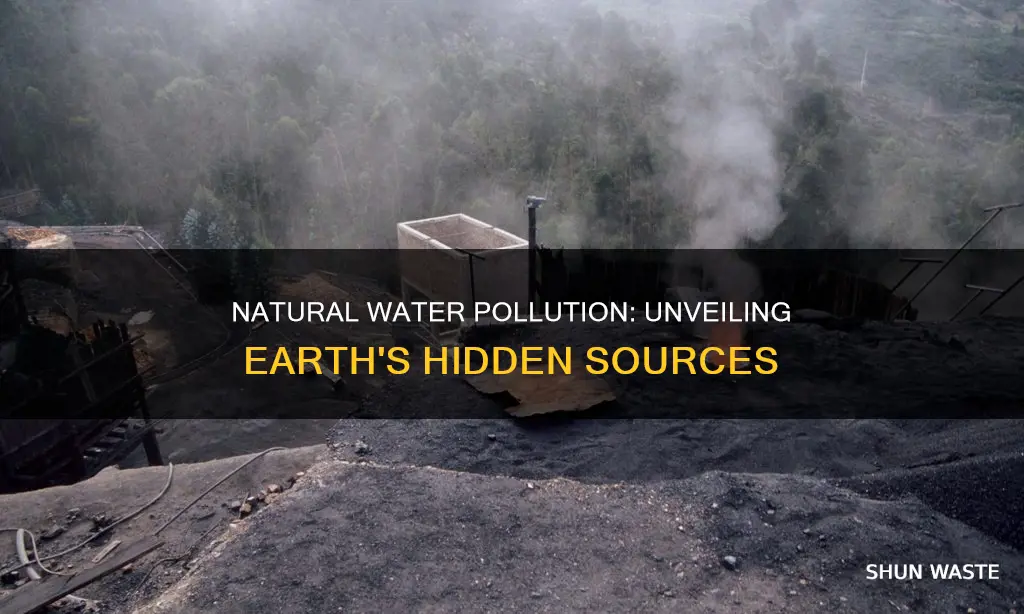 does water pollution result from natural causes