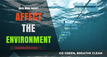 Wave Energy's Environmental Impact: Benefits, Challenges, and Sustainability