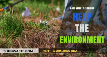 Weekly Clean-Ups: Small Steps for a Greener, Healthier Planet?