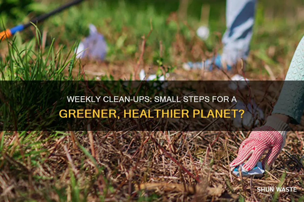 does weekly clean up help the environment