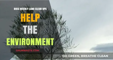 Weekly Land Clean-Ups: A Small Step Toward Environmental Restoration?