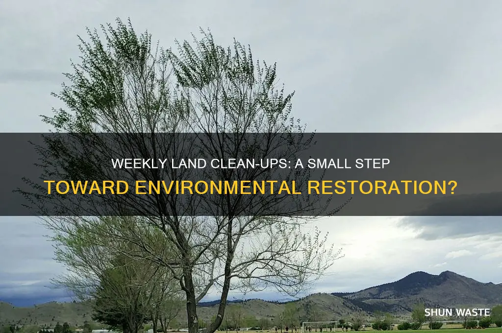 does weekly land clean ups help the environment