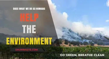 Human Actions and Their Impact: Do We Aid or Harm Nature?
