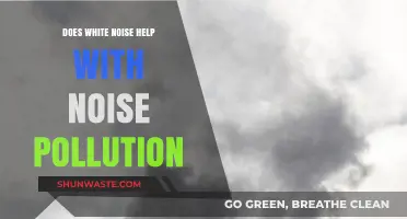 White Noise: Reducing Noise Pollution