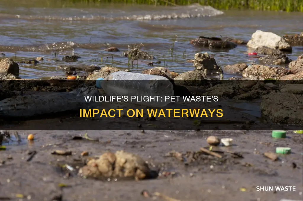 does wildlife get effected by pet wate polluted water