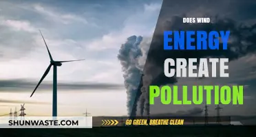 Wind Energy: Pollution or Clean Power?