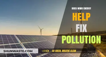 Wind Energy: Pollution Solution or Not?
