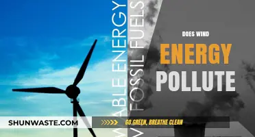 Wind Energy: Clean or Polluting Power Source?