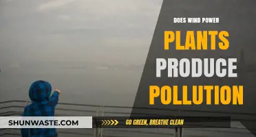 Wind Power Plants: Pollution or Progress?