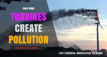 Wind Turbines: Clean Energy or Polluting Problem?