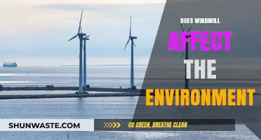 Wind Turbines: Environmental Impact and Sustainability Explained
