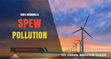 Wind Energy: Do Windmills Pollute the Environment?