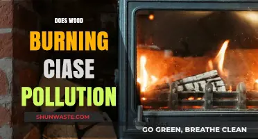 Wood Burning: Pollution and Health Risks