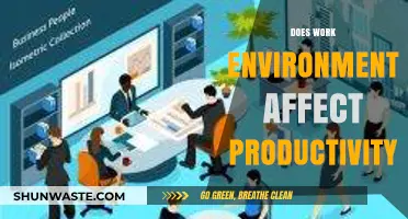 How Your Work Environment Impacts Productivity and Job Satisfaction