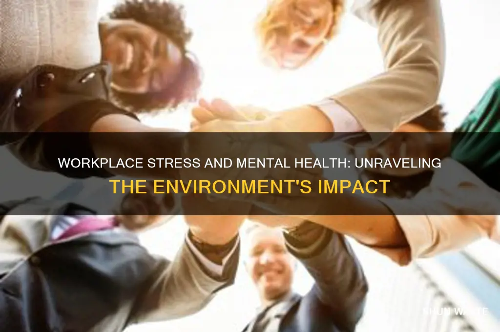 does work environment cause mental illnesses
