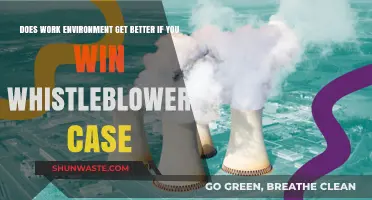 Winning a Whistleblower Case: Can It Improve Your Work Environment?