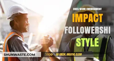How Work Environment Shapes Followership Styles: Insights and Impact