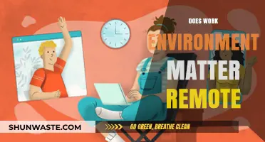 Does Your Work Environment Matter When Working Remotely? Exploring the Impact