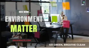 Does Your Work Environment Impact Productivity and Job Satisfaction?