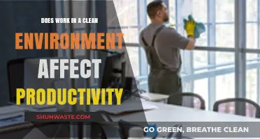 Clean Workspaces: Boosting Productivity Through Organized and Tidy Environments