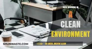Boost Productivity: The Impact of a Clean Workspace on Efficiency