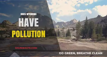 Wyoming's Pollution Problem: A Clean Air and Water Analysis