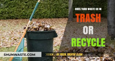 Yard Waste Disposal: Trash or Recycle? Your Eco-Friendly Guide