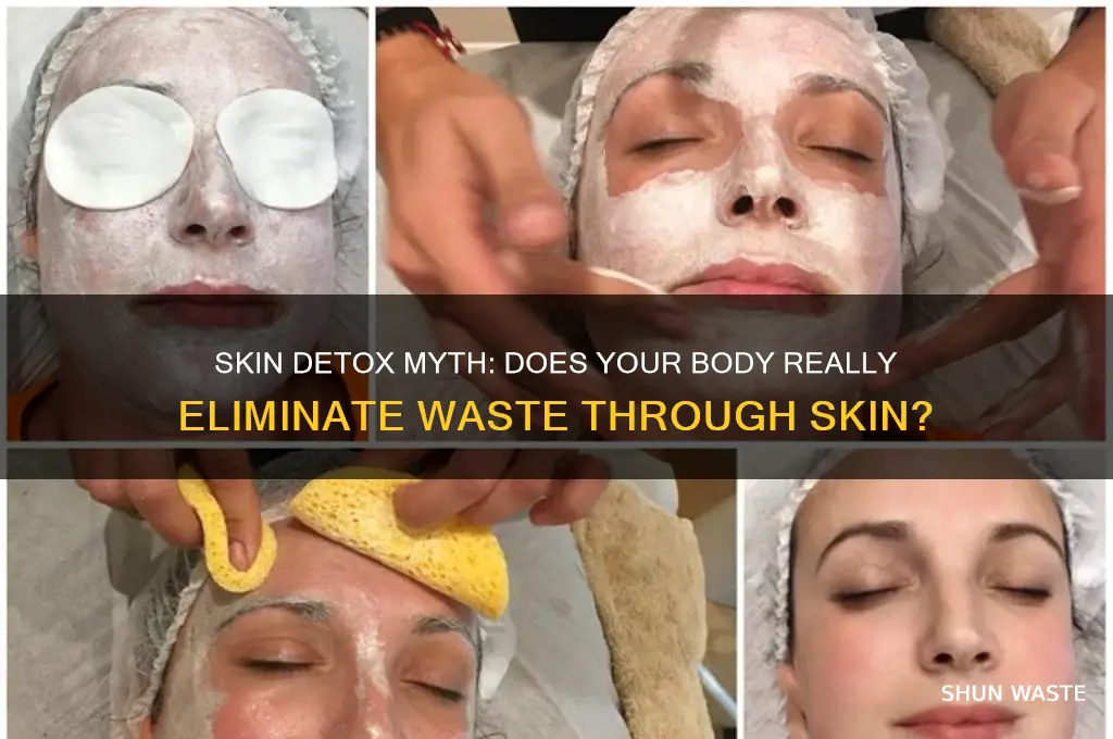 does your body eliminate waste through the skin