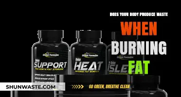 Fat Burning and Waste: Understanding Your Body's Metabolic Process