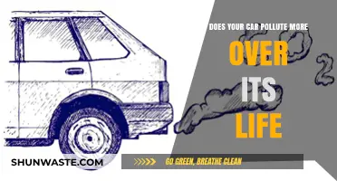 Cars' Pollution: A Lifetime of Environmental Impact