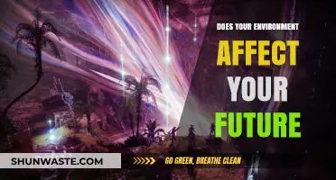 How Your Surroundings Shape Your Destiny: Unlocking Environmental Influence