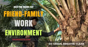 Yum Brands: A Friend-Family Work Environment? Exploring the Culture