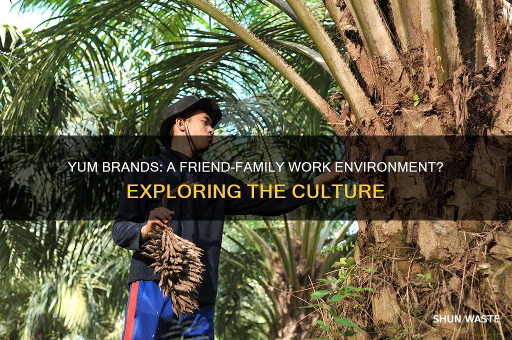 does yum brands has friend-family work environment