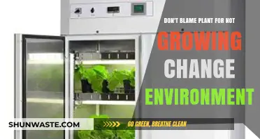 Change the Environment, Not the Blame: Nurturing Plant Growth Effectively