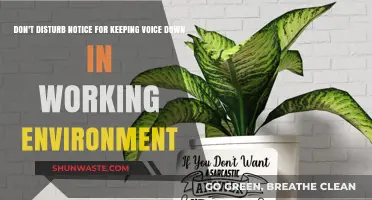 Keep Voices Low: A Don't Disturb Notice for Productive Workspaces