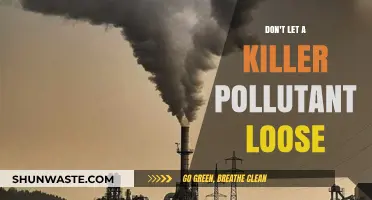 A Silent Killer: The Pollutant Among Us