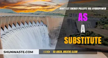 Hydropower: Clean Energy, No Pollution