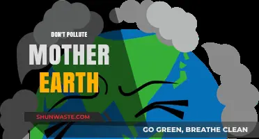 Protect Mother Earth: Stop Polluting, Start Preserving