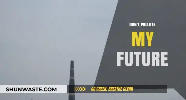 Protecting Our Future: Stop Polluting, Start Acting