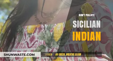 Avoiding Pollution: Sicilian and Indian Insights
